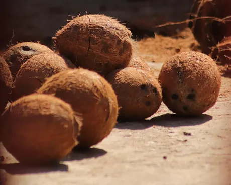 Super Mature Coconut